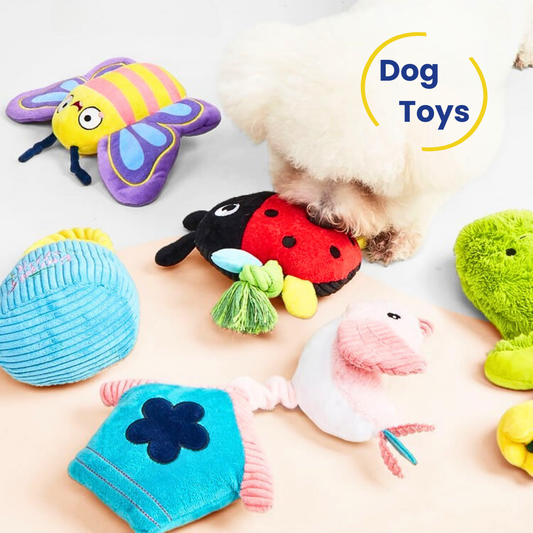 Adorable Pet Playthings for Dogs